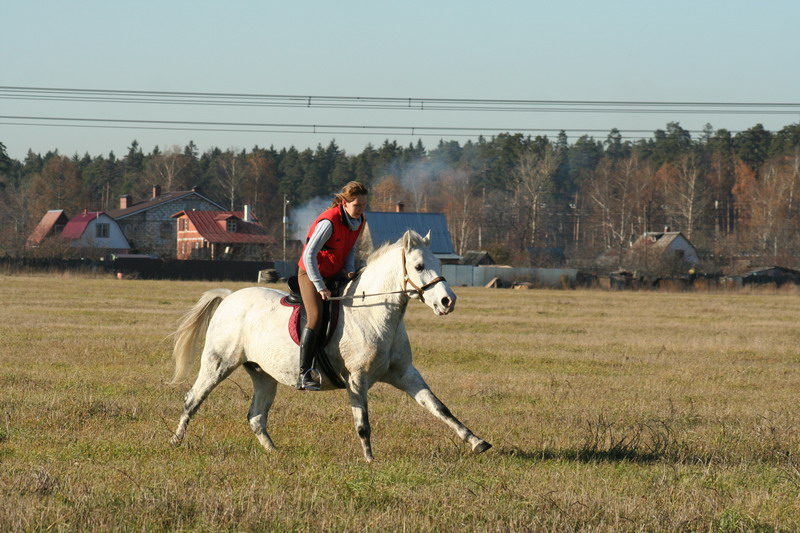 IMG_1172.jpg1.jpg"%20height="533"%20width="800